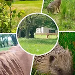 לינה וארוחת בוקר D'hotes La Cavaliere - La Source De Nos Racines - Corps De Ferme Au Coeur Du Parc Naturel De L'avesnois 3*