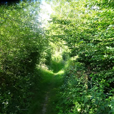 Couette-café D'hôtes La Cavalière à La Source De Nos Racines Beaufort (Nord)