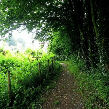 D'hôtes La Cavalière à La Source De Nos Racines Couette-café Beaufort (Nord)