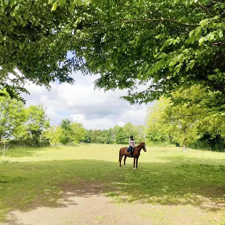 D'hotes La Cavaliere - La Source De Nos Racines - Corps De Ferme Au Coeur Du Parc Naturel De L'avesnois