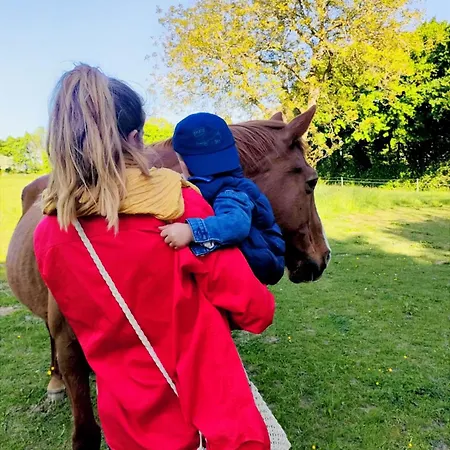 D'hôtes La Cavalière à La Source De Nos Racines Couette-café