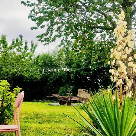 D'hotes La Cavaliere - La Source De Nos Racines - Corps De Ferme Au Coeur Du Parc Naturel De L'avesnois Bed and breakfast