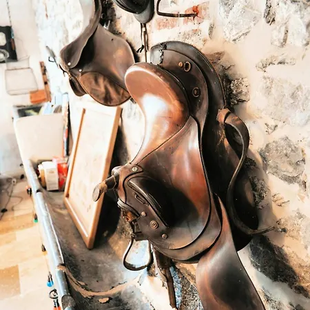 D'hôtes La Cavalière à La Source De Nos Racines Couette-café 4*