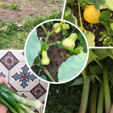 D'hôtes La Cavalière à La Source De Nos Racines 4*