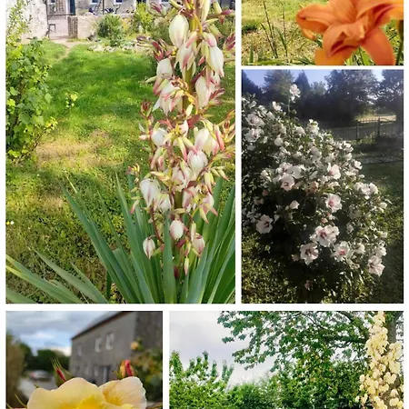 Couette-café D'hôtes La Cavalière à La Source De Nos Racines Beaufort (Nord)