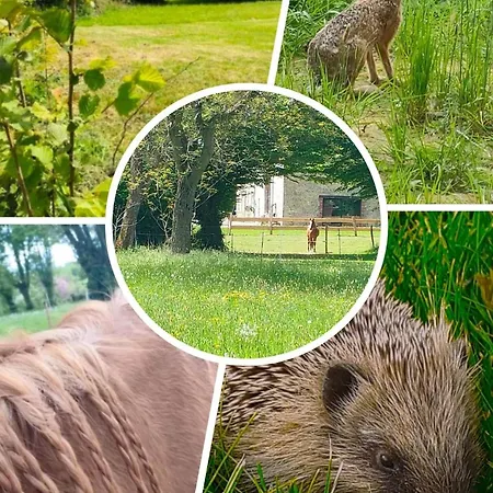 Alojamento de Acomodação e Pequeno-almoço D'hôtes La Cavalière à La Source De Nos Racines 3*