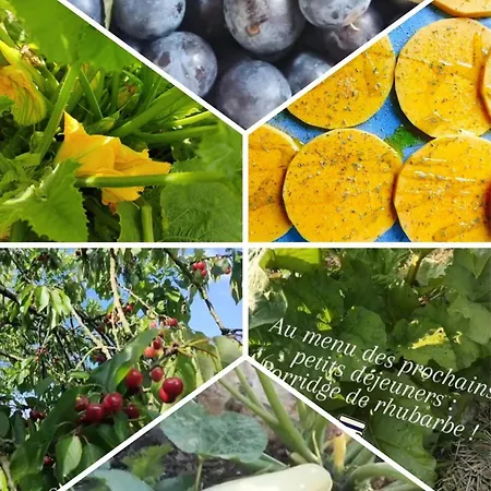 Couette-café D'hôtes La Cavalière à La Source De Nos Racines 4*