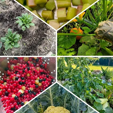 D'hôtes La Cavalière à La Source De Nos Racines Couette-café Beaufort (Nord)